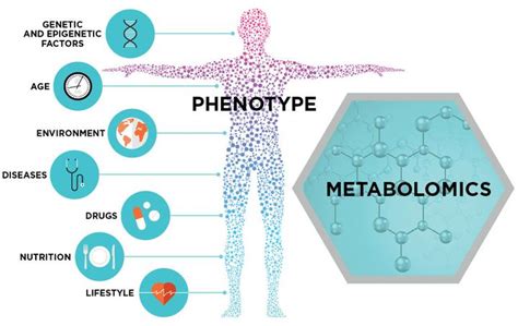 Cell Metabolism 综述 | 肝星状细胞的可塑性代谢调节能力 - 技术前沿 - 资讯 - 生物在线