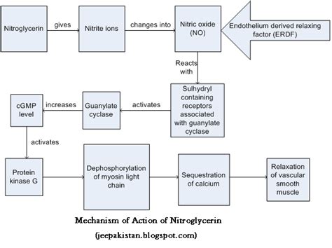 Your Source of Information: Nitroglycerin