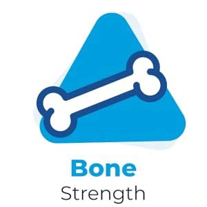 Trizen Calcium Magnesium Zinc | with Alfalfa, Vitamin D3 & K2-7 | Bone ...