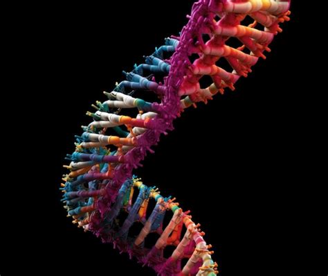 Image result for DNA Replication Advanced