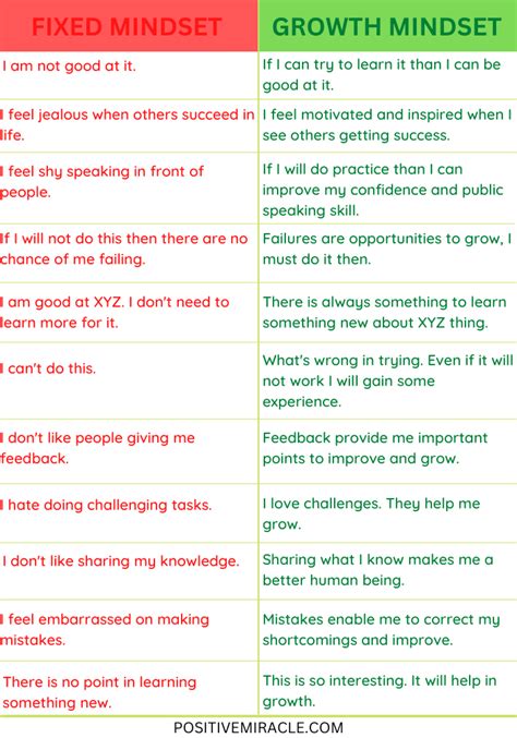 Fixed Mindset Examples 的图像结果