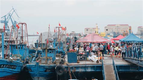 积米崖渔人码头海鲜节开幕，打造新区夜间经济新地标-青岛西海岸新闻网