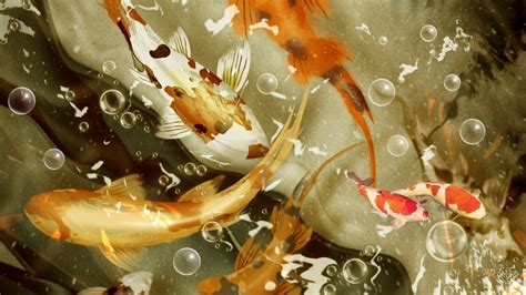 Koi Fish Wallpapers - Wallpaper Cave
