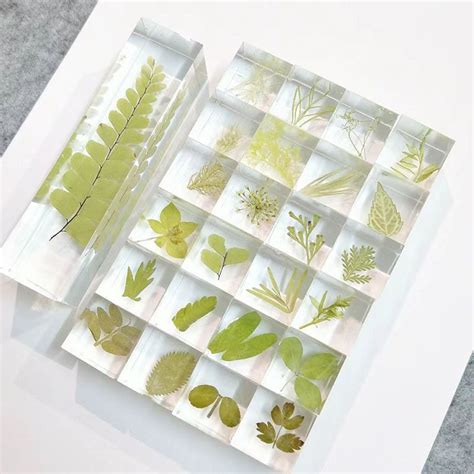 抽滴胶送什么礼物最新素材