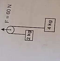 22 The magnitudes of accelerations of blocks of mass 2 kg and 4 kg are ...
