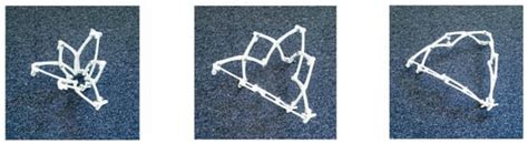 Design and Fabrication of a Responsive Carrier Component Envelope