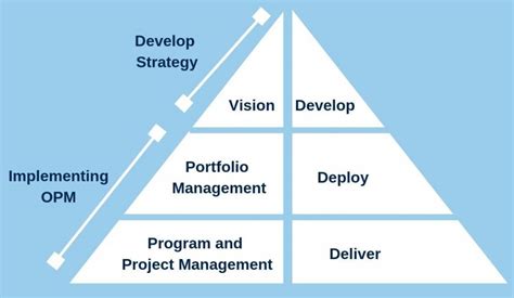 Image result for Project Portfolio Management Basics