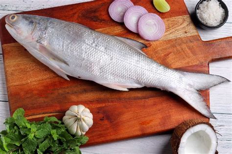 Rawas (Salmon)