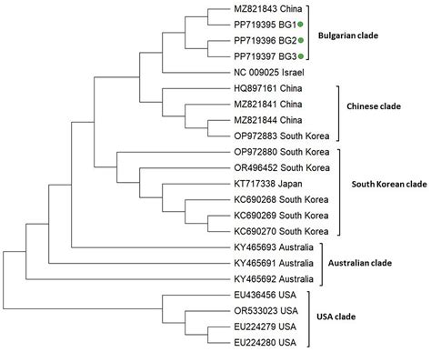 Molecular Detection and Phylogenetic Relationships of Honey Bee ...