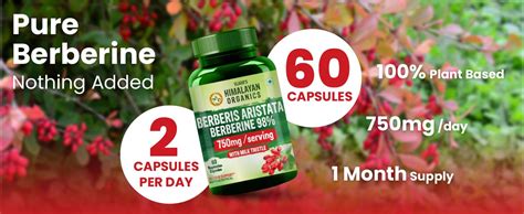 Vlado's Himalayan Organics Berberis Berberine 98% with Milk Thistle I ...