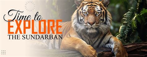 Sundarban Tour Package with Sundarban Tourism Travel Agency