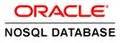 Oracle NoSQL Database 的图像结果