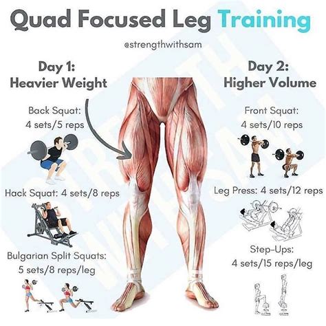 Quad Focused Leg Training ... (With images) | Leg training, Leg day ...