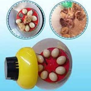 TM&W - Automatic Digital Intelligent Automatic Chicken Egg Hatcher ...