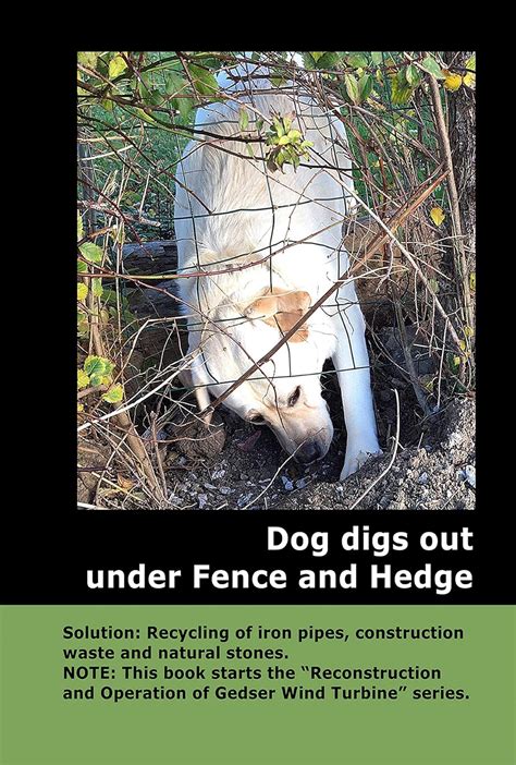 Dog digs out under Fence and Hedge: Solution: Recycling of iron pipes ...