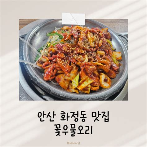 Image result for SQL Server Management Studio Logo