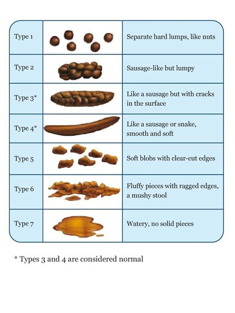 Bristol Stool Chart Nhs Printable - Printable Free Templates