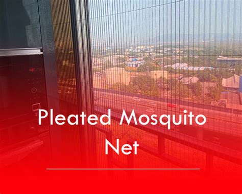 Bird Control Solutions in Navi Mumbai, Thane - WeAreCreative