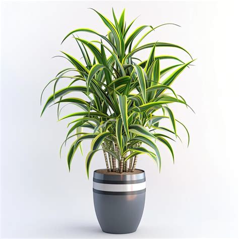Very tall plant pot photography on white background | Premium AI ...