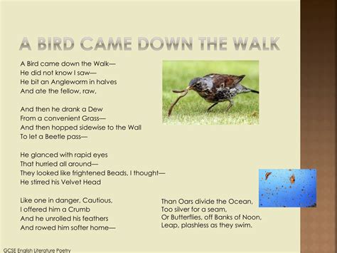 PPT - As imperceptibly as grief Emily Dickinson PowerPoint Presentation ...