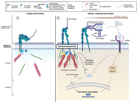 How to Evaluate Fibrosis in IBD?
