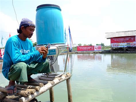 Telkomsel IoT Gandeng eFishery Dan Japfa Hadirkan Perikanan Digital
