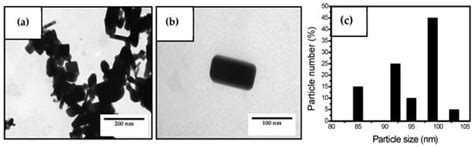 Electrospun Active Biopapers of Food Waste Derived Poly(3 ...