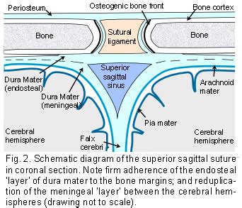 Image result for Oiling Machine Pattern