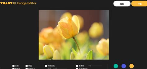 分享几款开源好用的图片在线编辑，适合做快速应用嵌入_开源图片编辑器-CSDN博客