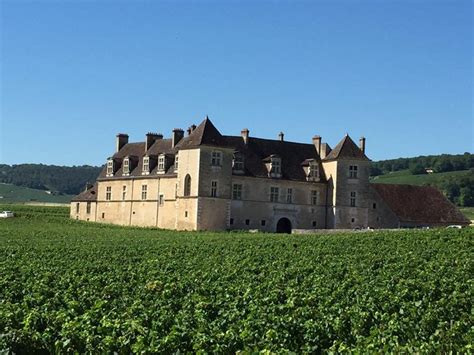 THE BEST Chevigny-Saint-Sauveur Breweries (2026) - with Reviews