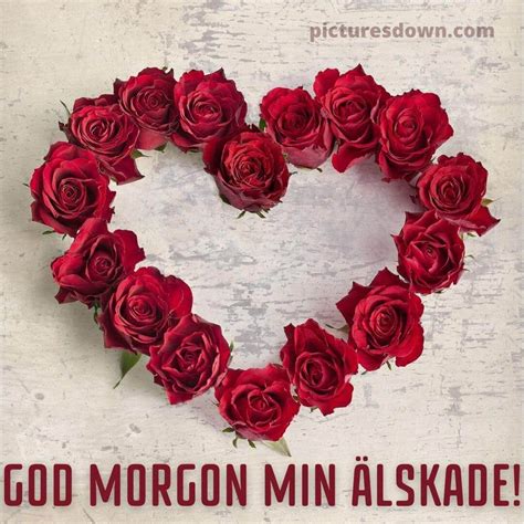 75+ A Swedish Good Morning Greetings & Wishes - Good Morning Pictures