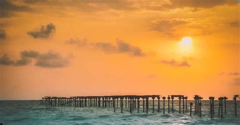 Alleppey Unveiled: Explore Houseboats, Backwaters, and Culture - Tours ...