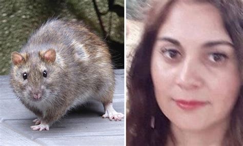 A woman was attacked by more than 100 rats, gnawed hands and feet | एक ...