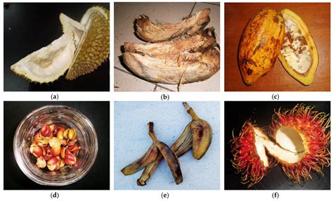 Potential of Tropical Fruit Waste Biomass for Production of Bio ...
