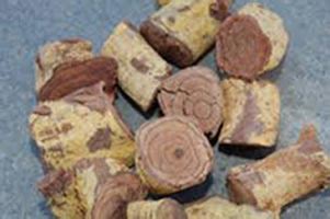 Bildergebnis für salacia