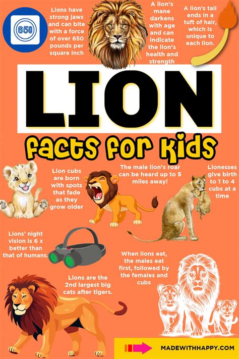Lions 101 Fun Lion Facts And Information For Kids Children