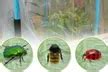 20FT Garden Anti Bird Bug Ins... | Groupon Goods