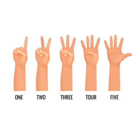 Count 的图像结果