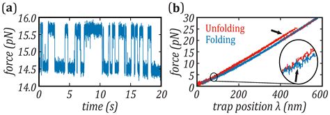 Force Dependence of Proteins’ Transition State Position and the Bell ...