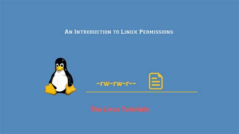 Image result for Linux User Permissions