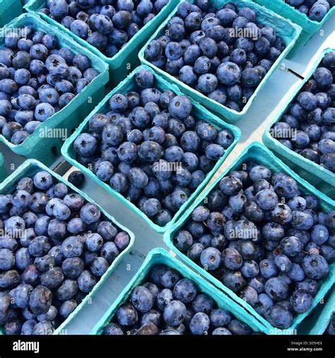 Blueberry pint hi-res stock photography and images - Alamy