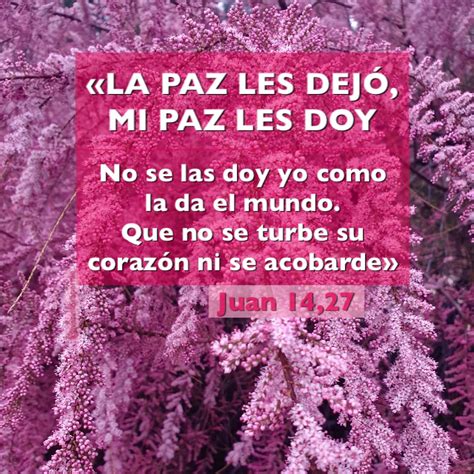 Juan 14,27: La paz les dejo, mi paz les doy