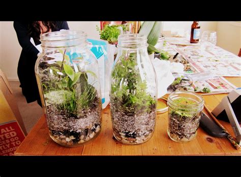 Image result for Terrarium Making111