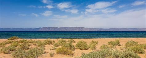 Gulf of Aqaba - On Wheels Travel