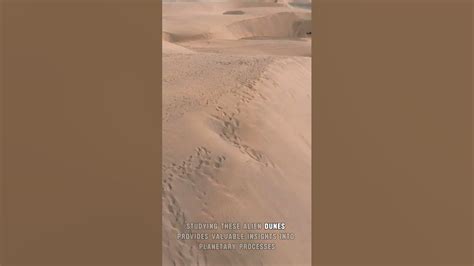 Image result for Alien Dundeon