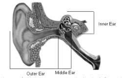 Hearing System - Zoology Optional Notes for UPSC PDF Download