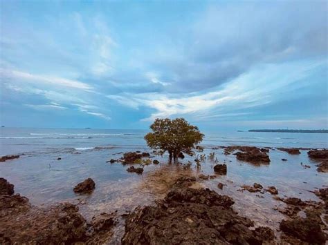 PUNTA PUNTA SURF RETREAT (General Luna) - Campground Reviews, Photos ...