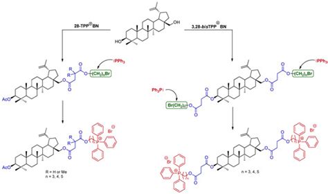 Design, Synthesis and Preliminary Evaluation of the Cytotoxicity and ...