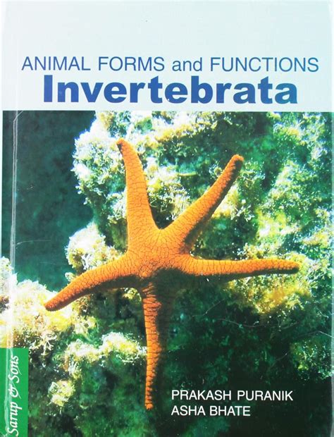 Buy Invertebrata: Animals Forms and Functions Book Online at Low Prices ...