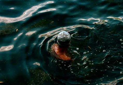 All Currently Closed Levadas And Hiking Paths